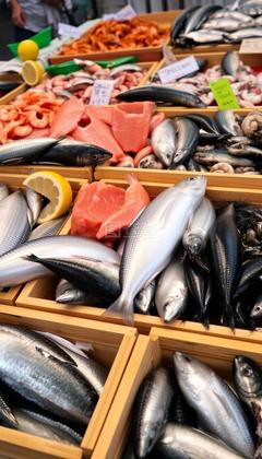 水產(chǎn)品 營(yíng)養(yǎng)與可持續(xù)利用的雙重價(jià)值